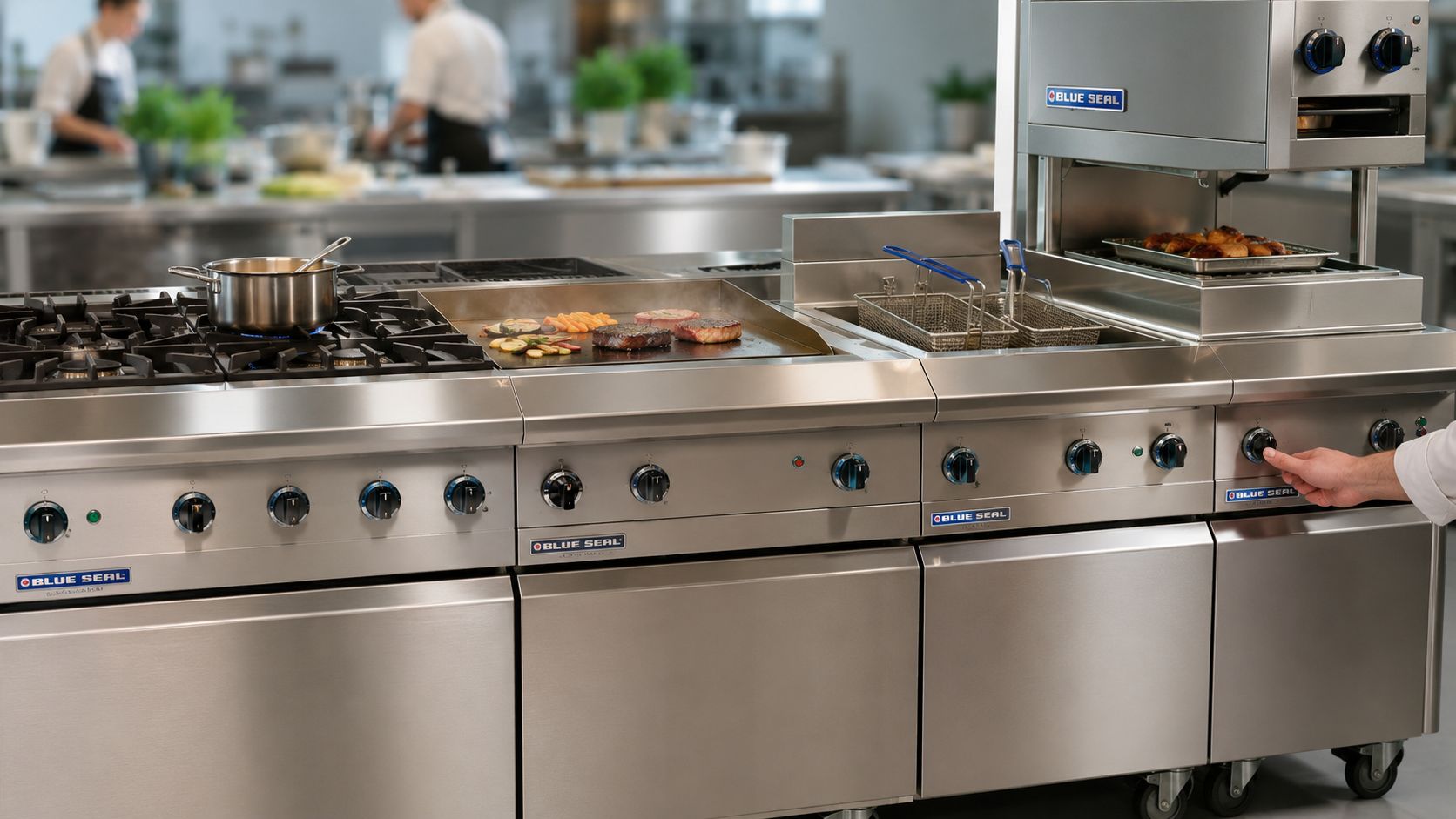 Understanding the Blue Seal Evolution Range: 2026 Guide