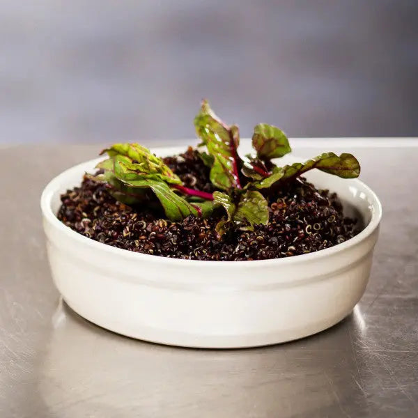 Emile Henry Crème Brûlée Ramekin 13cm - Blue Ocean