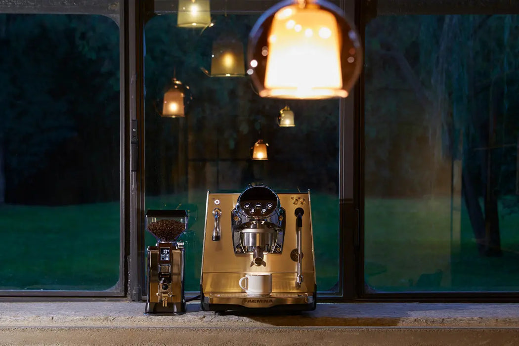 Faema Faemina Home Espresso Machine