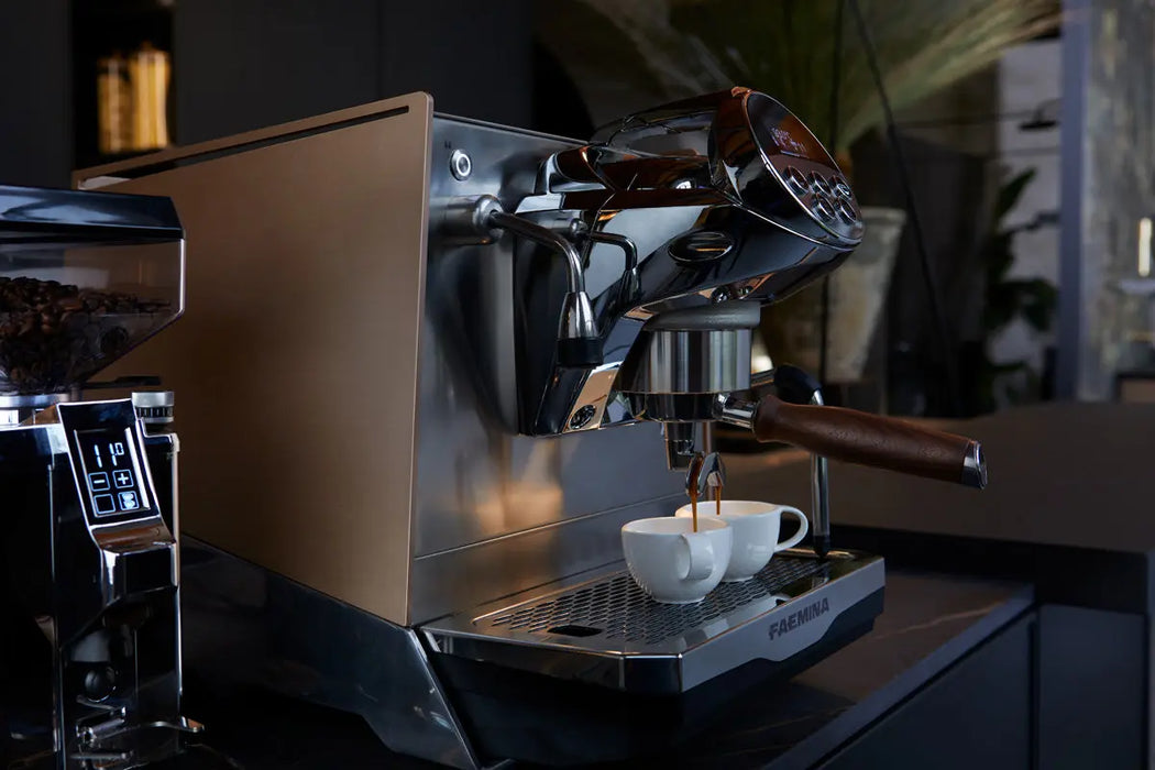 Faema Faemina Home Espresso Machine
