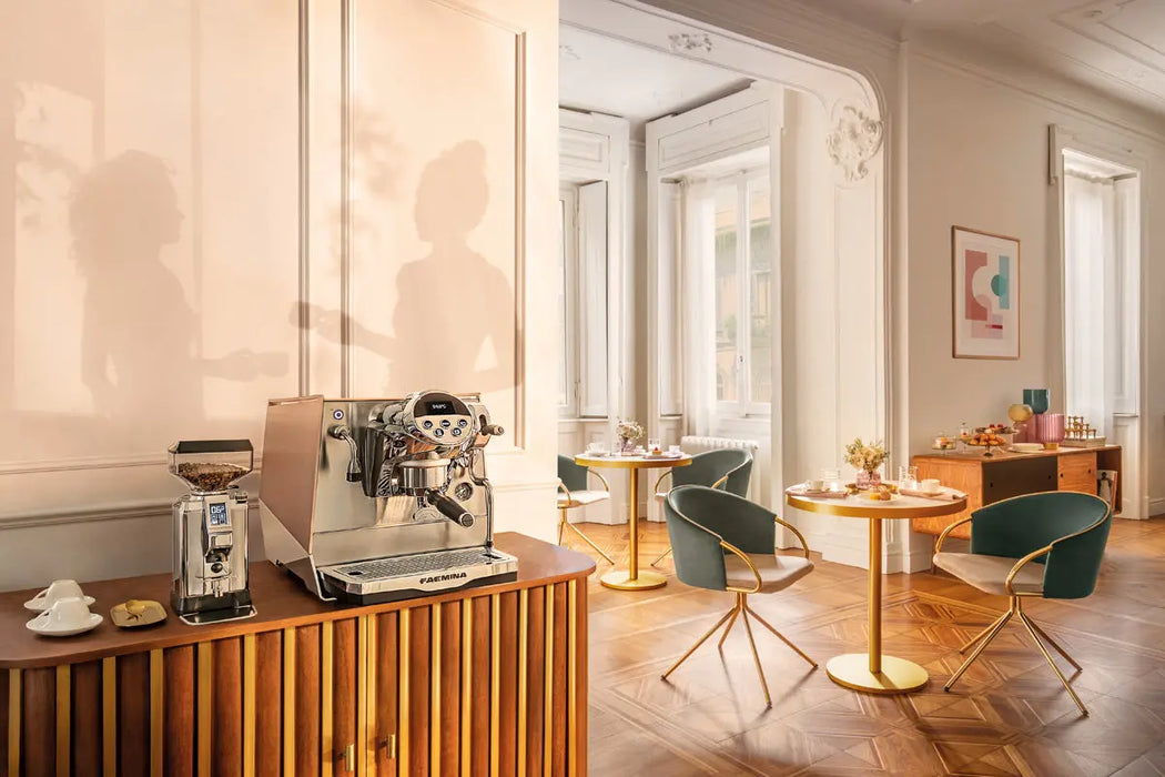 Faema Faemina Home Espresso Machine