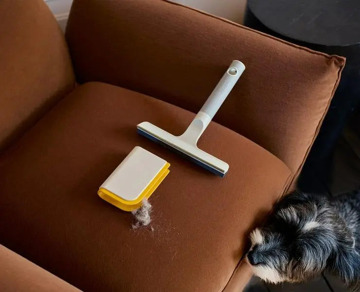 Joseph Joseph CleanTech 2-in-1 Carpet Cleaning Tool