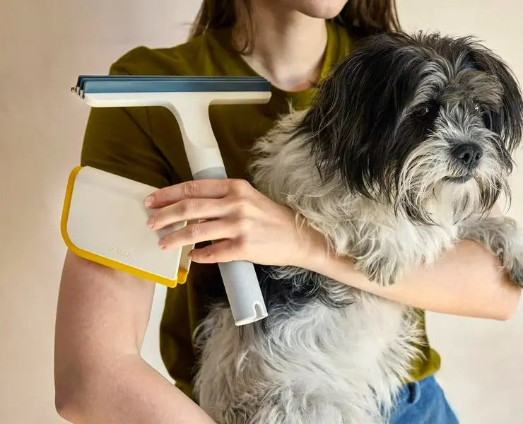 Joseph Joseph CleanTech 2-in-1 Carpet Cleaning Tool