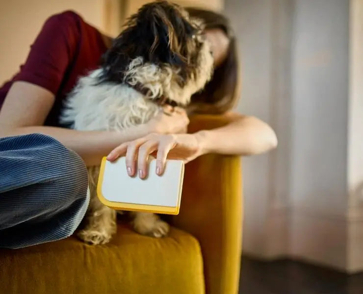 Joseph Joseph CleanTech™ 3-in-1 Pet Hair Cleaning Tool