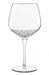 Luigi Bormioli Roma Gin 805ml  Cocktail Glasses