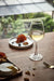 Ocean Eco Vino Red Wine Glass 470ml - Set 2  Red Wine