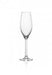 Ocean Sante Flute 210ml  Wine Glasses