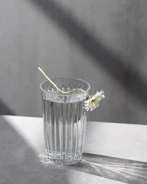 Pasabahce Joy Hi Ball 295ml  Cocktail Glasses