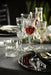 RCR Opera Wine Glass 230ml - Set 6  Wine Glasses