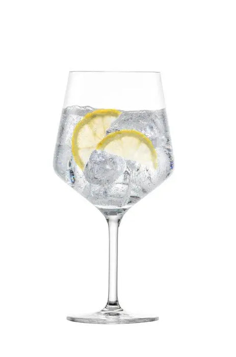 Schott Zwiesel Cinco All Round - #145 (617ml)