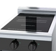 Waldorf Bold INLB8200R3-CD - 450mm Electric Induction Cooktop Low Back Version - Cabinet Base