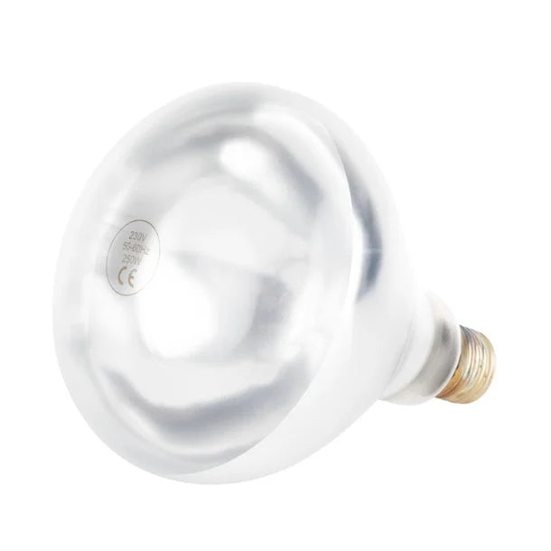 Apuro 250W Shatterproof Infrared Heat Lamp ES