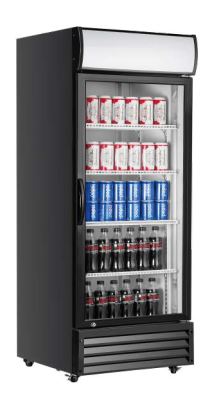 Snowman Glass Door Upright Fridge - 700mm - 1 Door - P600WB