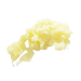 Robot Coupe Grate - Raw Potatoes - Expert Series - Simply Hospitality NZ