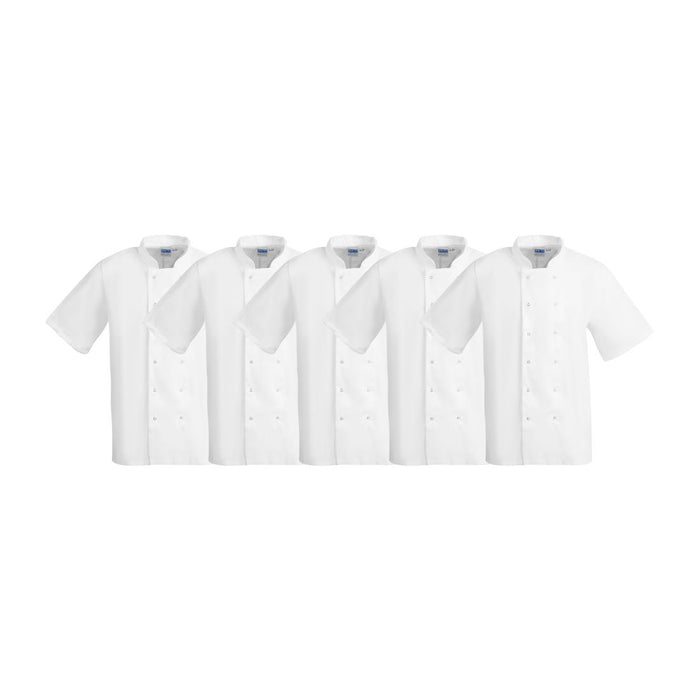 Whites Boston Short Sleeve Chef’s Jacket 5 Pack - SA821 - Simply Hospitality NZ